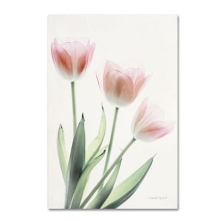 Elizabeth Urquhart 'Light And Bright Floral II' Canvas Art,12x19